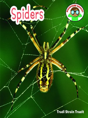 cover image of Spiders